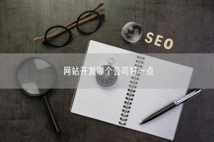 网站开发哪个公司好一点